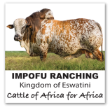 Impofu Ranching Eswatini